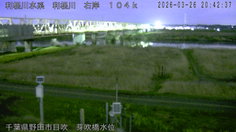 tonme2026032621_image