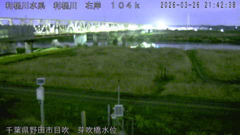 tonme2026032622_image