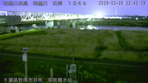 tonme2026032623_image