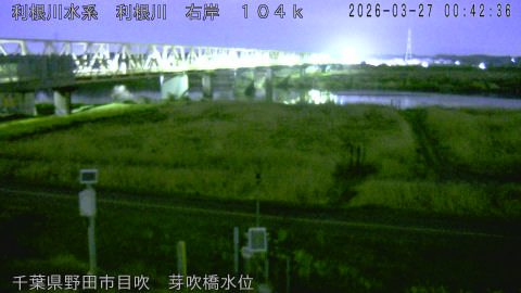 tonme2026032701_image