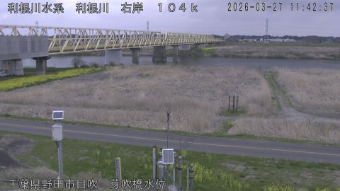 tonme2026032712_image