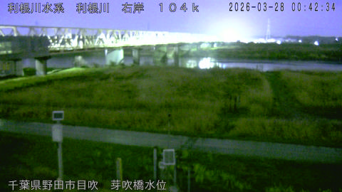 tonme2026032801_image