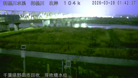 tonme2026032802_image