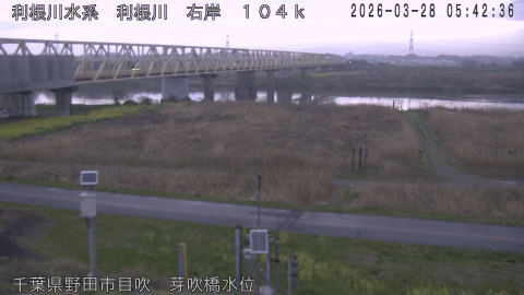 tonme2026032806_image