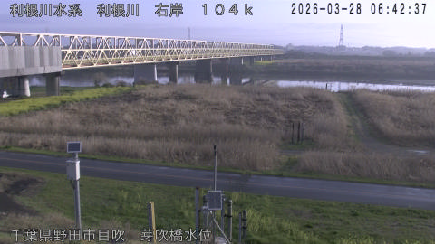 tonme2026032807_image