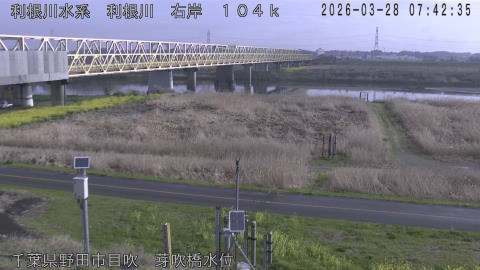 tonme2026032808_image