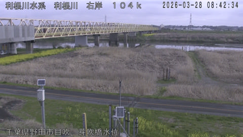 tonme2026032809_image