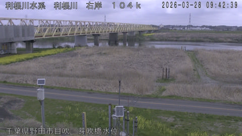 tonme2026032810_image