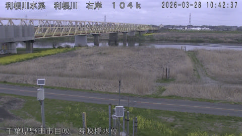 tonme2026032811_image