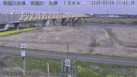 tonme2026032812_image