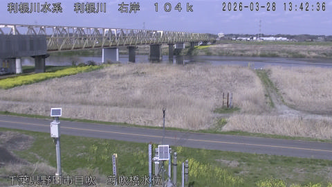 tonme2026032814_image