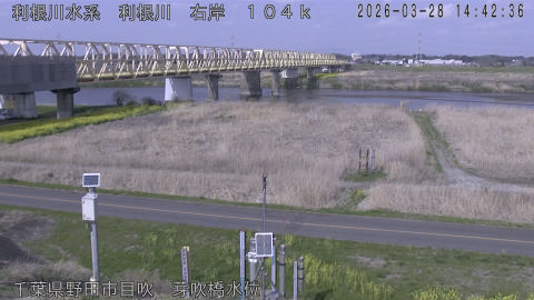 tonme2026032815_image