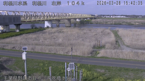 tonme2026032816_image