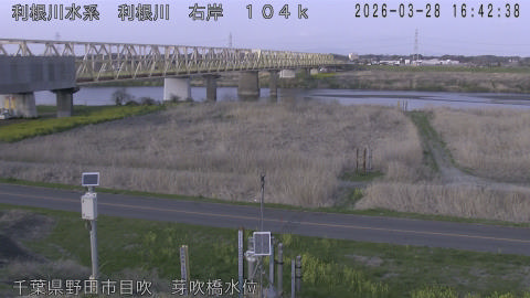 tonme2026032817_image