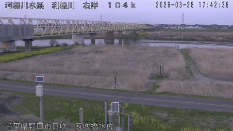 tonme2026032818_image