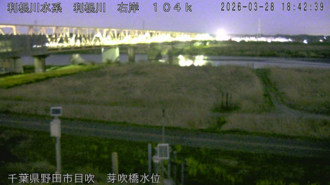 tonme2026032819_image