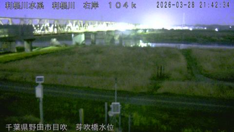 tonme2026032822_image