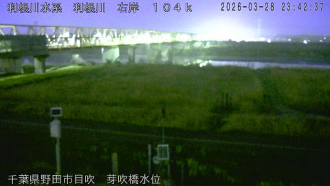 tonme2026032900_image