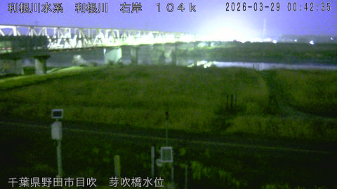 tonme2026032901_image