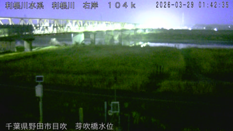 tonme2026032902_image