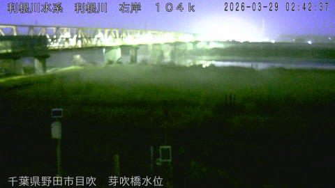 tonme2026032903_image