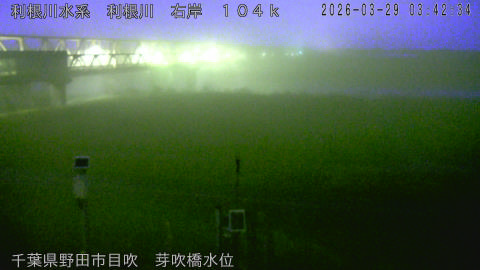 tonme2026032904_image