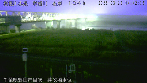 tonme2026032905_image