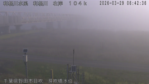 tonme2026032907_image