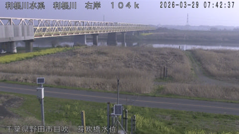 tonme2026032908_image