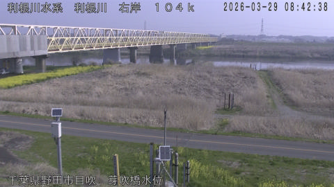 tonme2026032909_image