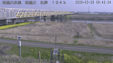 tonme2026032910_image