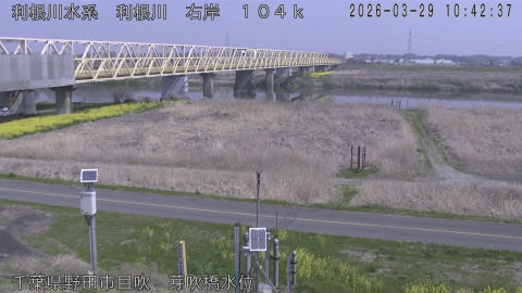 tonme2026032911_image