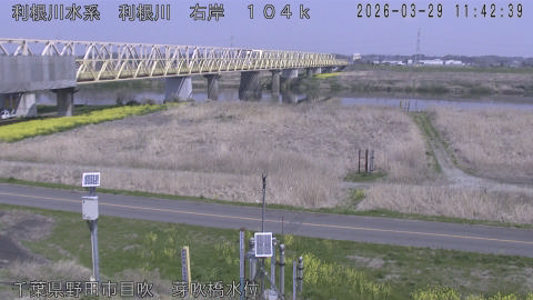 tonme2026032912_image