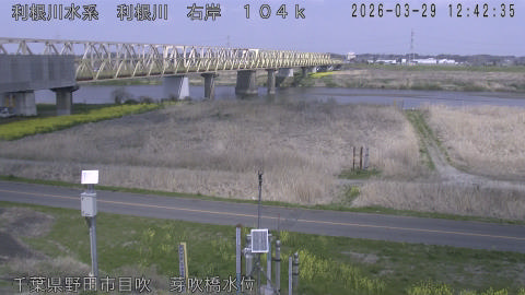 tonme2026032913_image