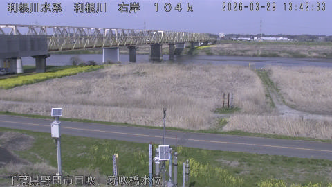 tonme2026032914_image