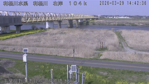 tonme2026032915_image