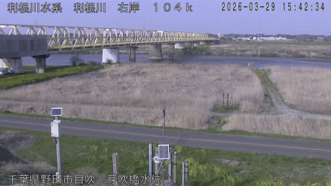 tonme2026032916_image