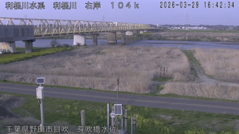 tonme2026032917_image