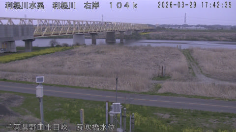 tonme2026032918_image