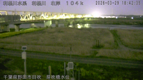 tonme2026032919_image