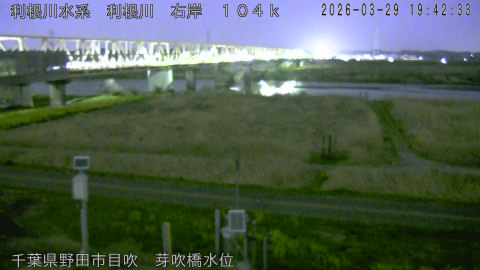 tonme2026032920_image