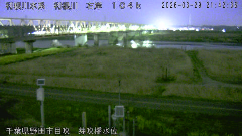 tonme2026032922_image