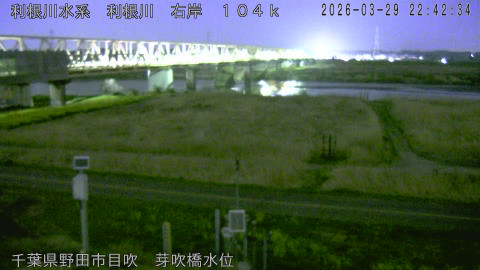 tonme2026032923_image