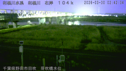 tonme2026033003_image