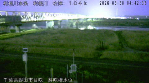 tonme2026033005_image