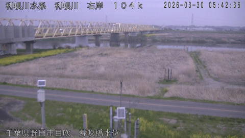 tonme2026033006_image