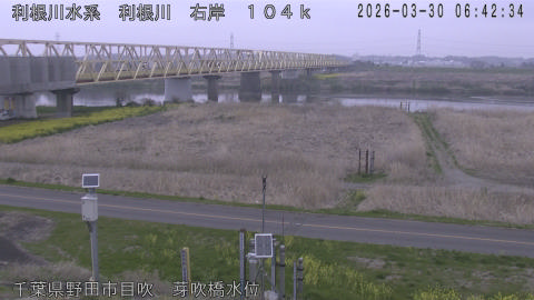 tonme2026033007_image