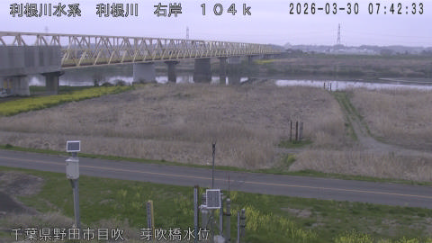 tonme2026033008_image