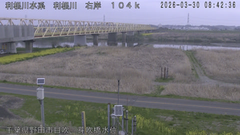 tonme2026033009_image