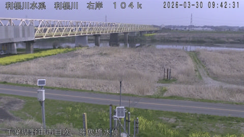 tonme2026033010_image